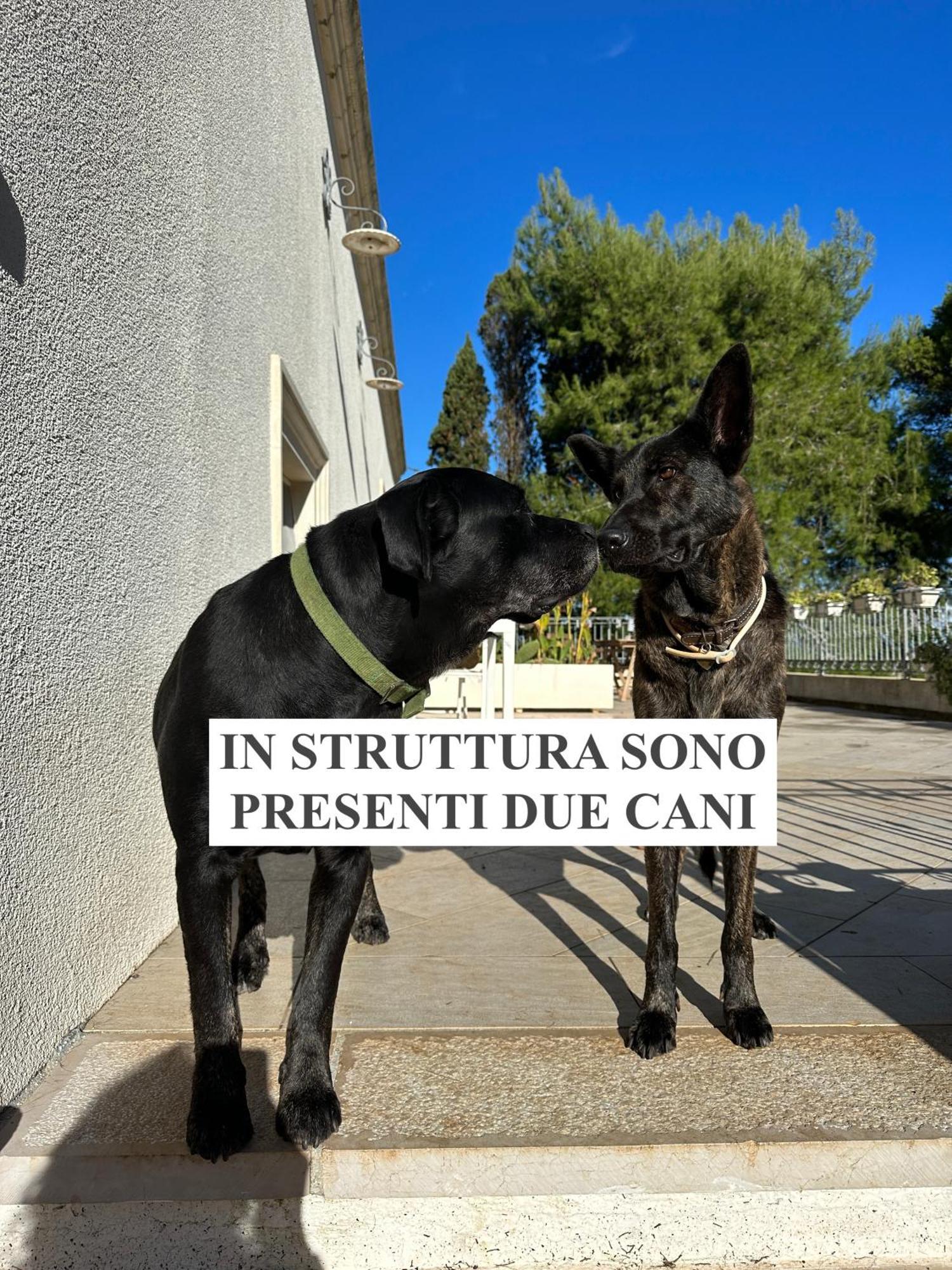 Aparthotel La Dimora Di Ulisse Santa Cesarea Terme Exterior foto